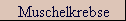 Muschelkrebse