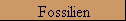 Fossilien