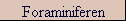 Foraminiferen