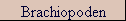 Brachiopoden